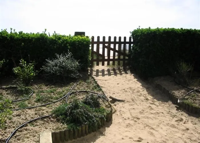 Le Nelson - Face Acces Direct A La Mae-9451 *